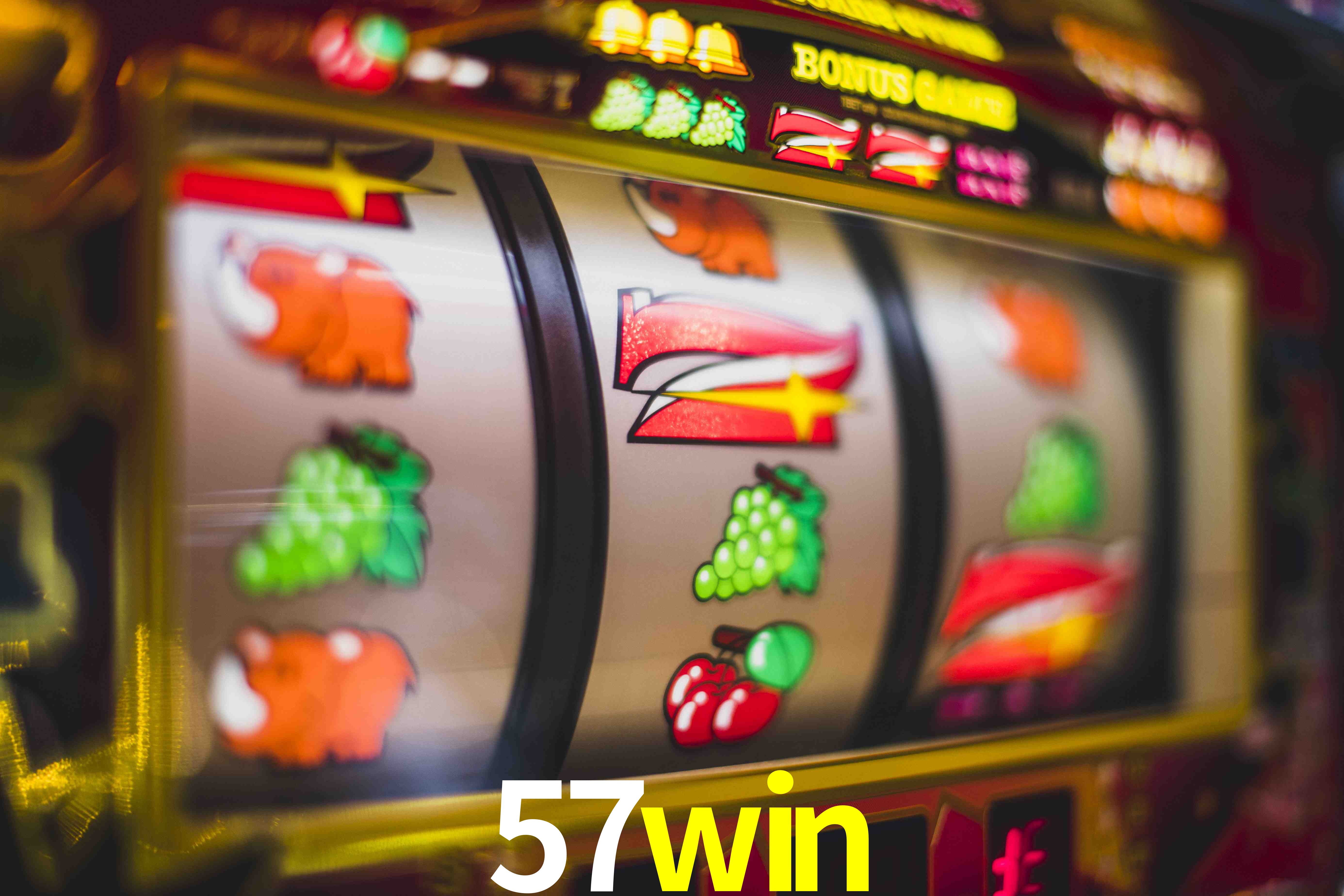 Experiência VIP 57win